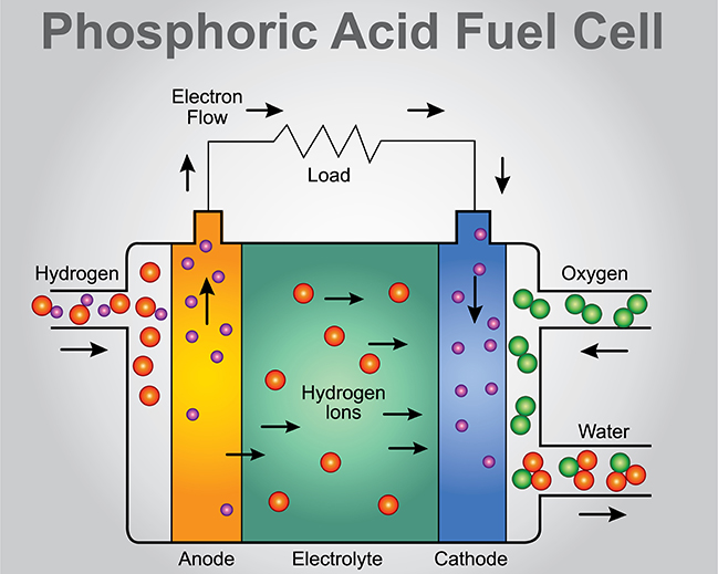 Anodes and Cathodes for Fuel Cells De Nora